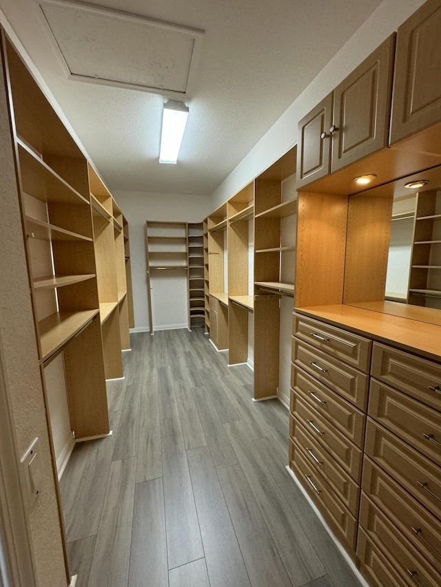 walk in closet with light hardwood / wood-style floors