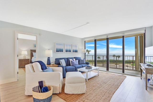 living room with light hardwood / wood-style floors and a wall of windows