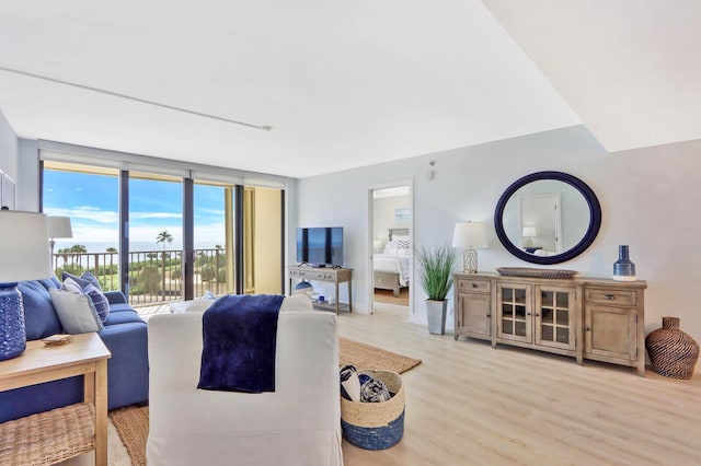 living room featuring light hardwood / wood-style floors