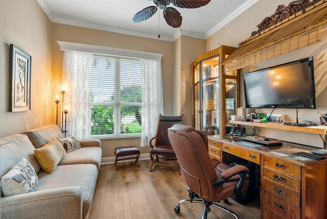 office area with a wealth of natural light, crown molding, ceiling fan, and light hardwood / wood-style floors