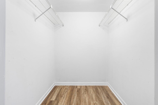 walk in closet featuring wood-type flooring