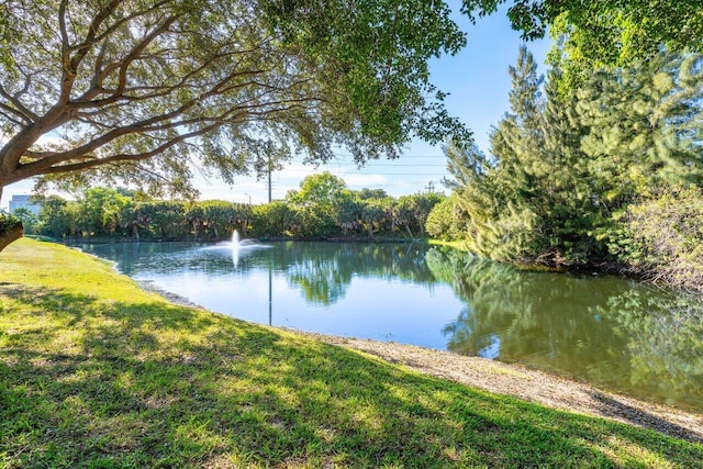 property view of water