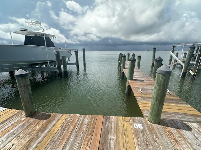 dock area with a water view