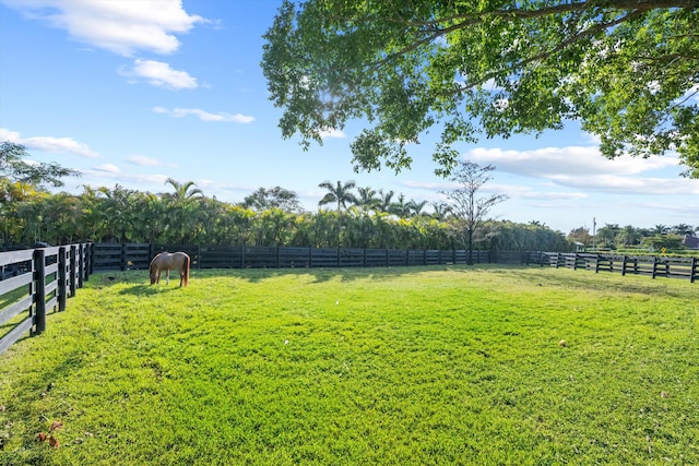 view of yard with a rural view