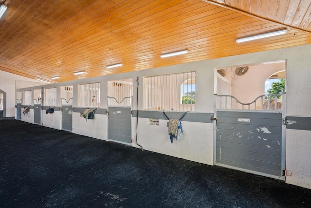 view of stable