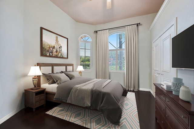 bedroom featuring ceiling fan, a closet, and dark hardwood / wood-style floors