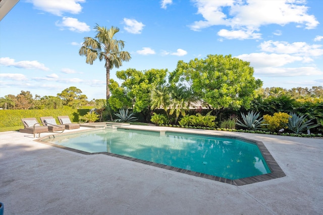 view of pool featuring a patio area