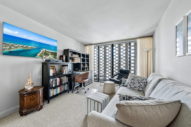 living room with carpet