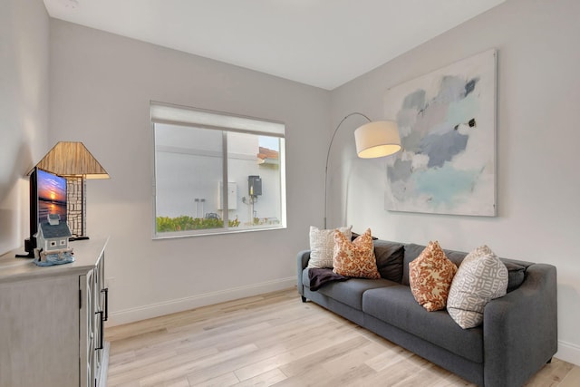 living room featuring light wood-type flooring