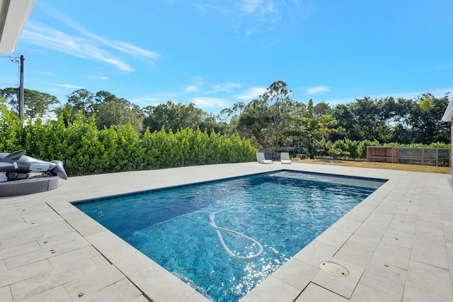 view of pool featuring a patio area