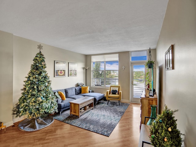 living room with light hardwood / wood-style floors and a textured ceiling