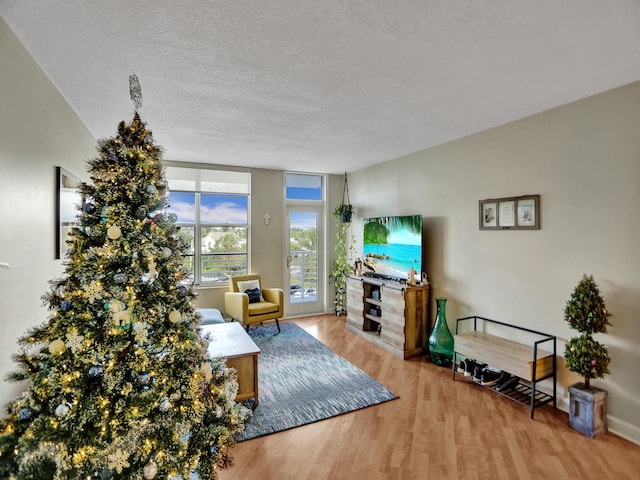 living room featuring a textured ceiling and light hardwood / wood-style flooring