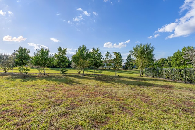 view of yard featuring a rural view