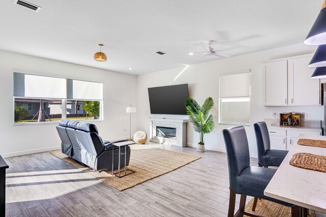 living room featuring light hardwood / wood-style flooring and ceiling fan