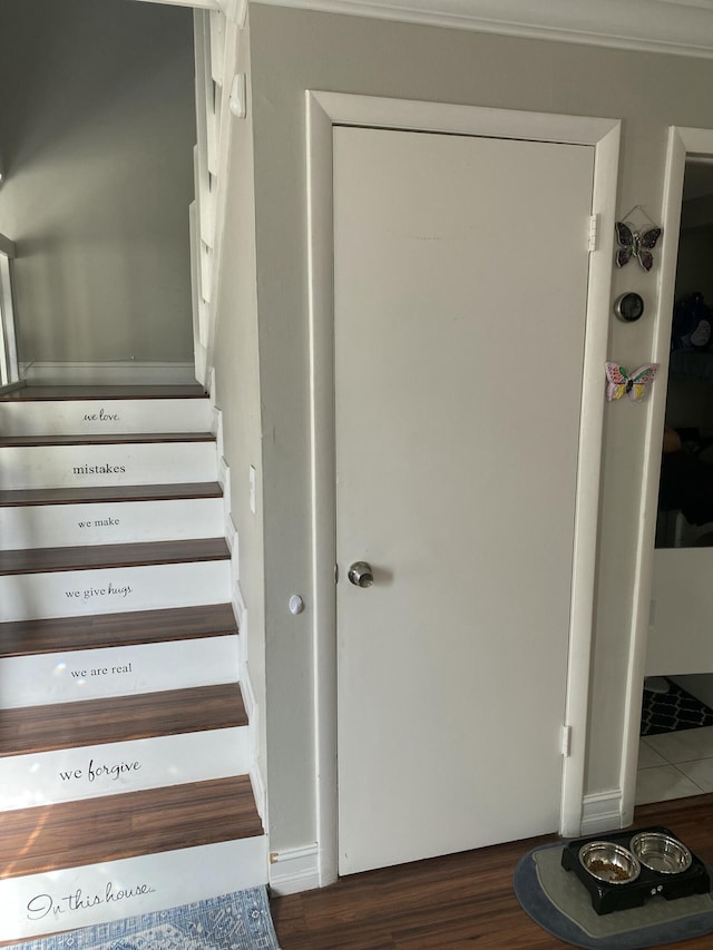 stairs with hardwood / wood-style flooring