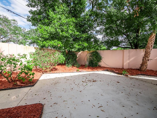 view of yard featuring a patio