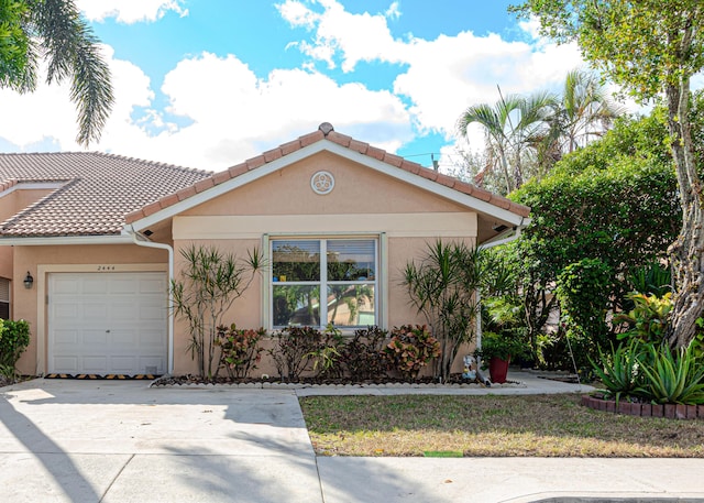 view of front facade with a garage