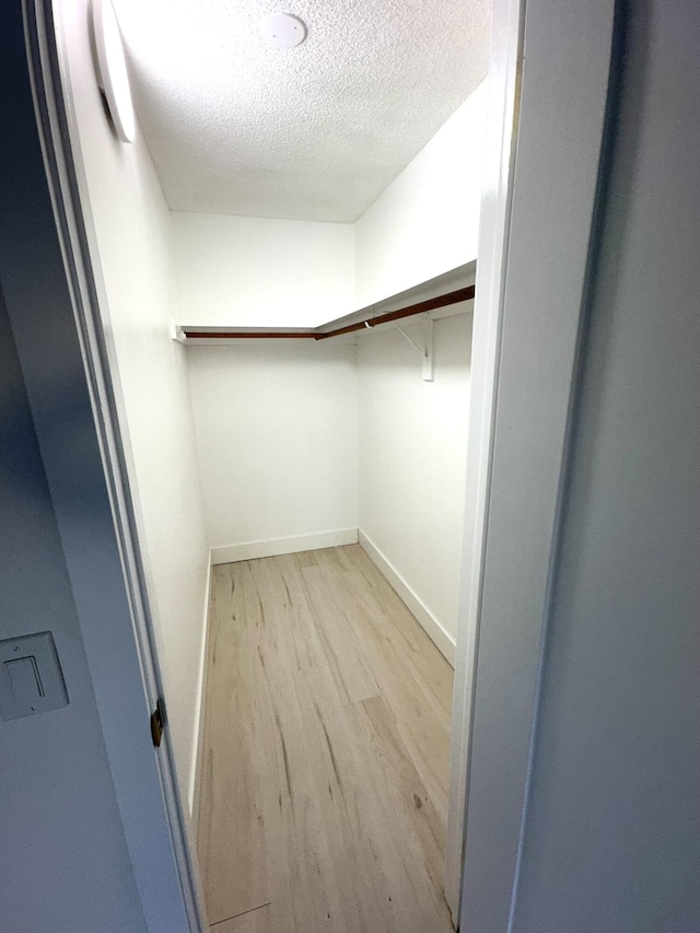 spacious closet featuring light hardwood / wood-style flooring