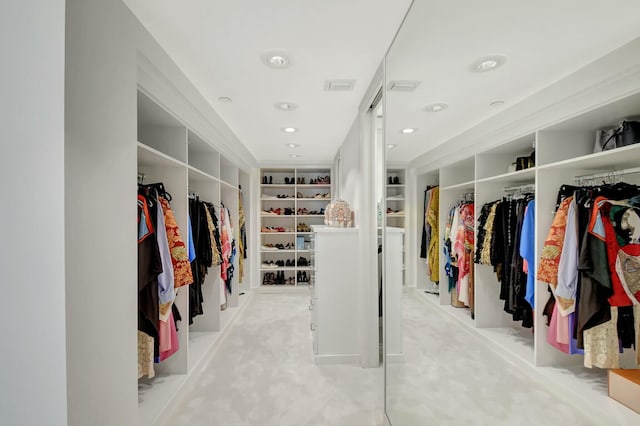 view of spacious closet