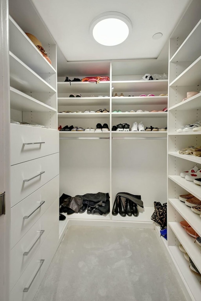 view of spacious closet