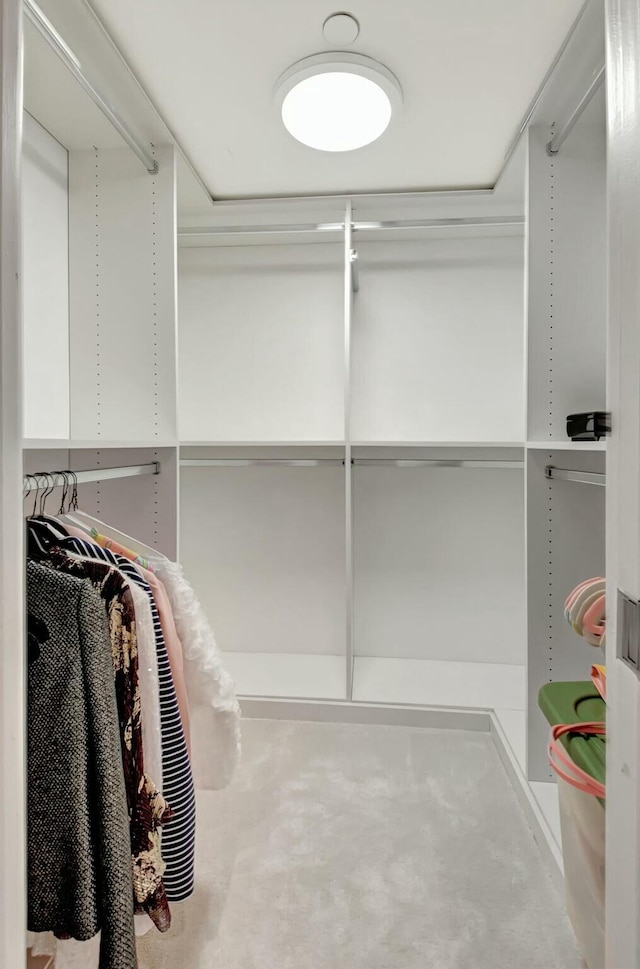 view of walk in closet