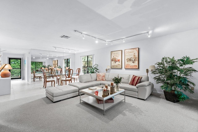 carpeted living room with a healthy amount of sunlight and rail lighting