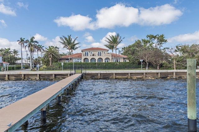 dock area with a water view