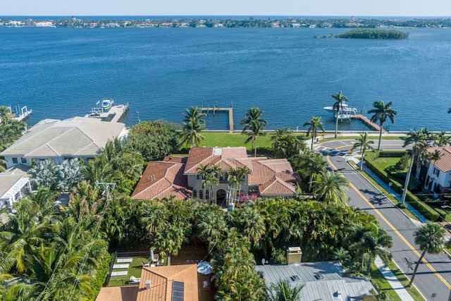 bird's eye view with a water view