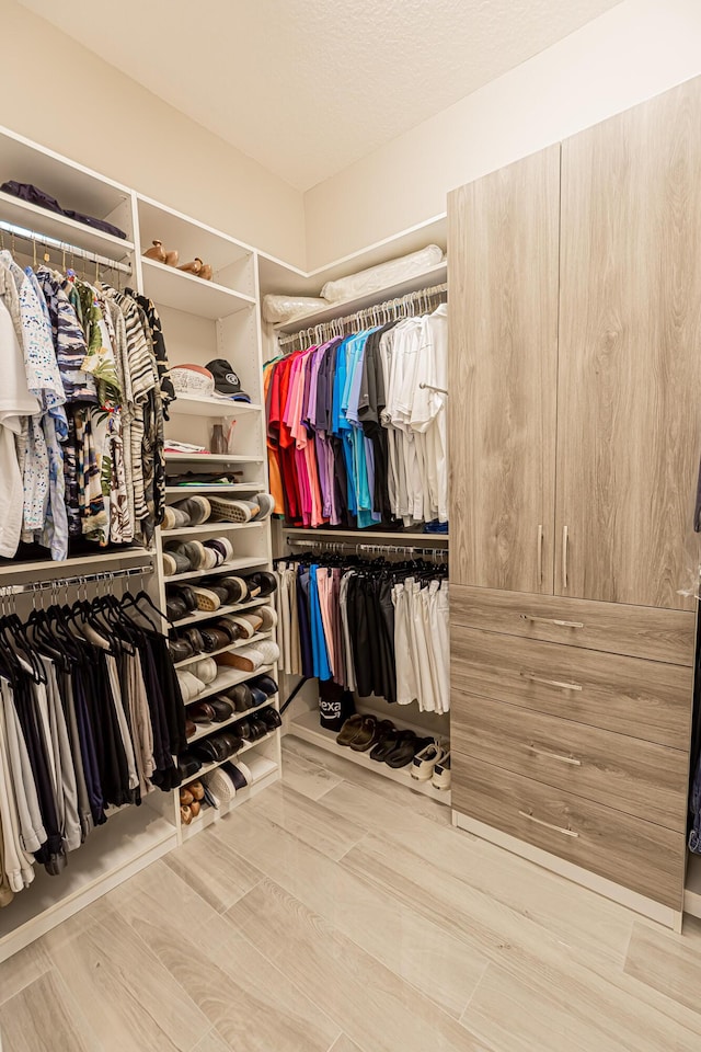 walk in closet featuring hardwood / wood-style flooring