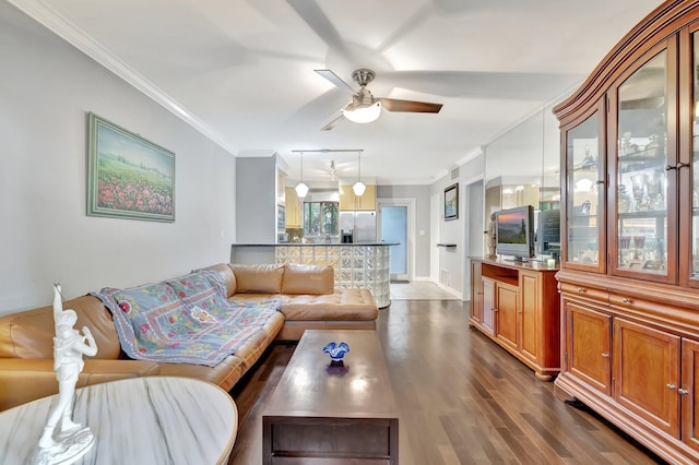 living room with ceiling fan, dark hardwood / wood-style floors, and ornamental molding