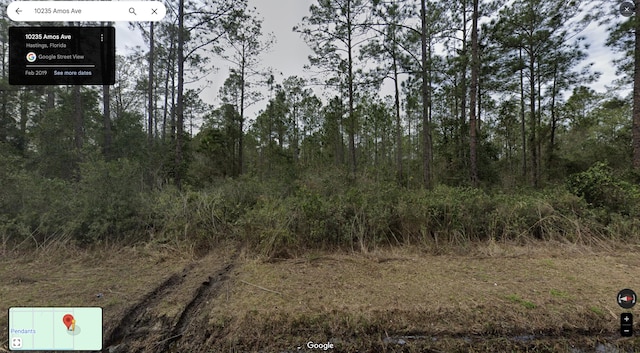 10235 Amos Ave, Hastings FL, 32145 land for sale