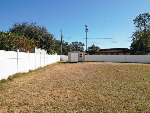 view of yard featuring a storage shed