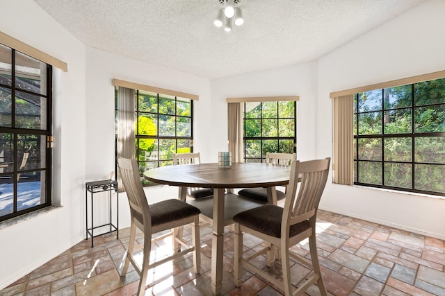 dining area featuring lofted ceiling and a textured ceiling