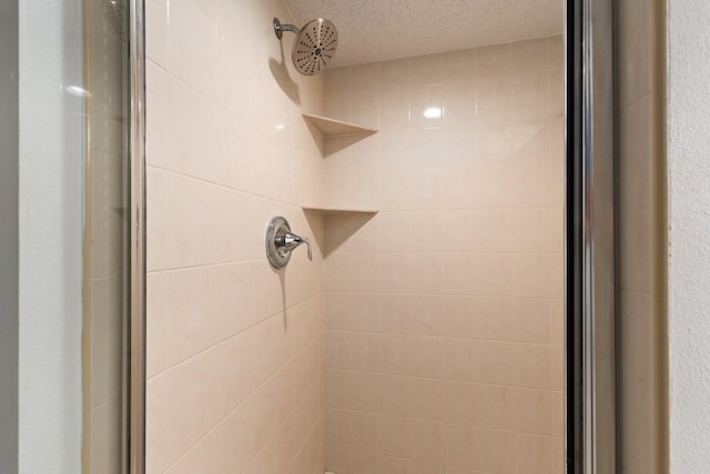 room details with tiled shower