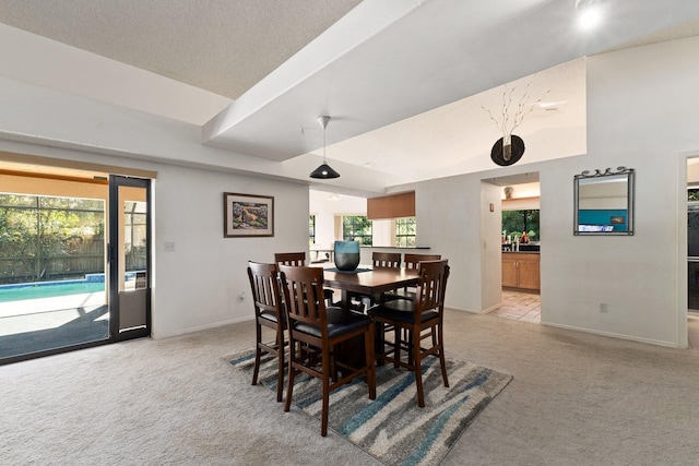 dining space with light carpet, a healthy amount of sunlight, and a textured ceiling