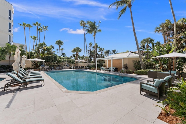 view of swimming pool featuring a patio