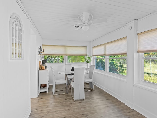 sunroom / solarium with ceiling fan