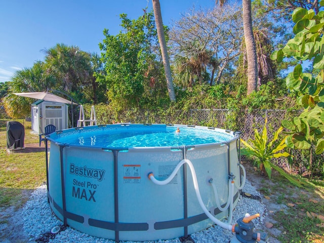 view of swimming pool with a shed