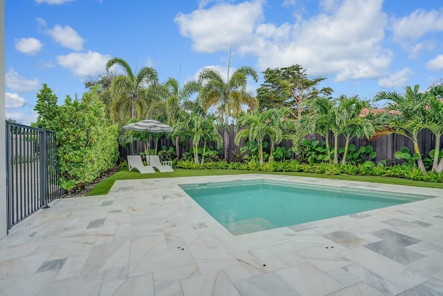 view of pool with a patio