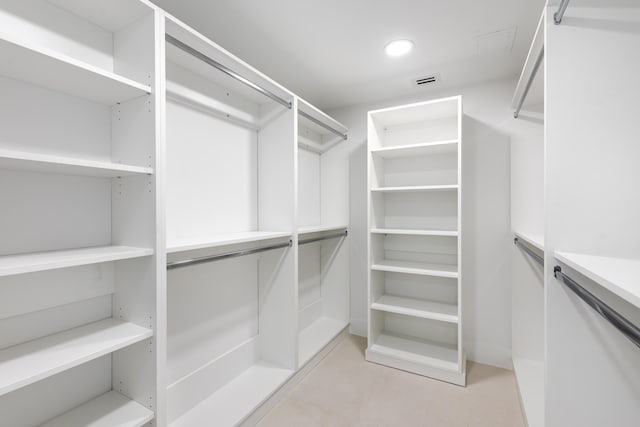 view of spacious closet