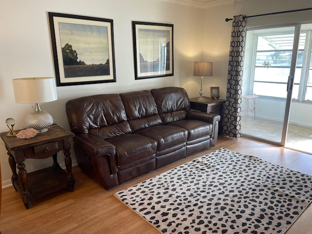 living room featuring crown molding and light hardwood / wood-style flooring