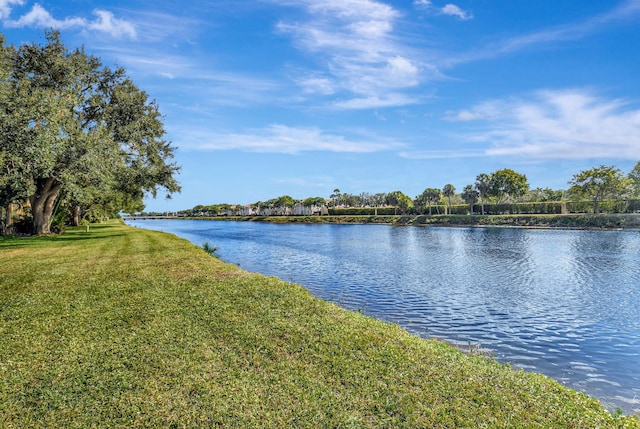 property view of water