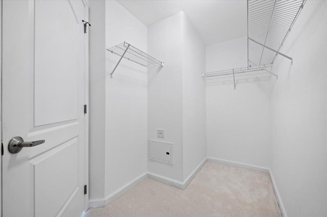 spacious closet with light carpet