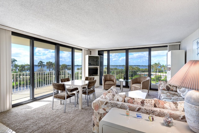 living room with carpet flooring, a wall of windows, a textured ceiling, and a wealth of natural light