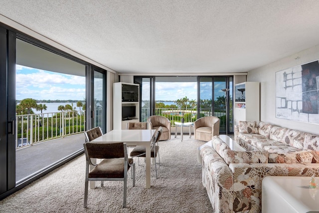 interior space featuring a textured ceiling, expansive windows, and a healthy amount of sunlight