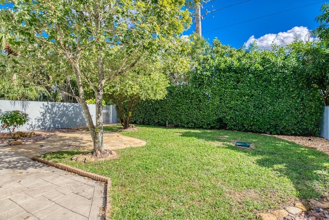 view of yard featuring a patio