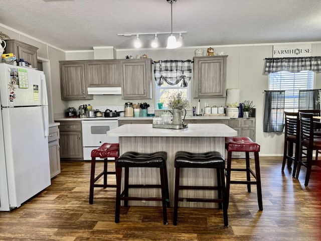 kitchen with dark hardwood / wood-style flooring, white appliances, and a healthy amount of sunlight