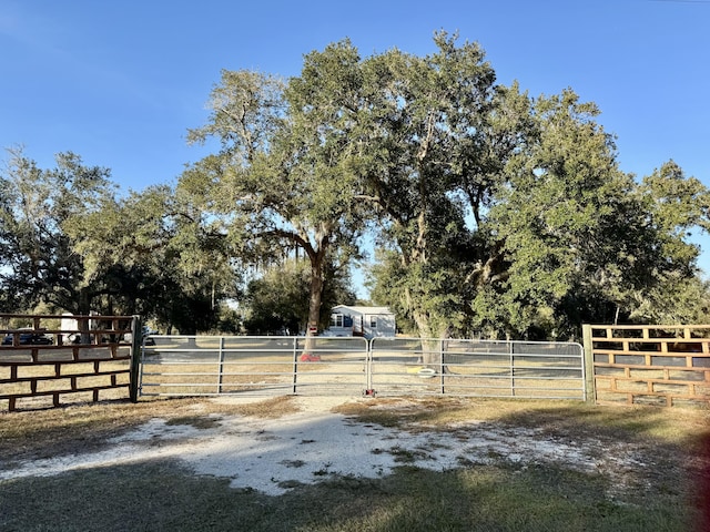 view of yard with a rural view