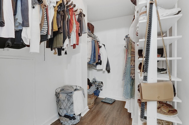 spacious closet with hardwood / wood-style flooring