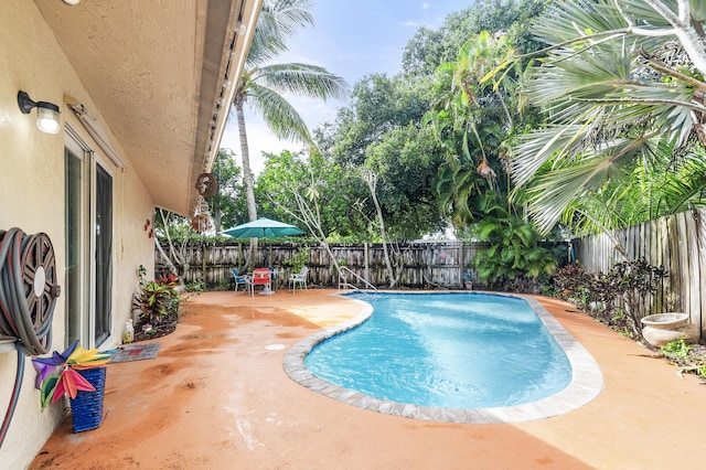 view of pool with a patio area